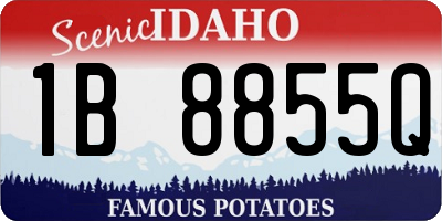 ID license plate 1B8855Q