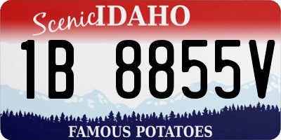 ID license plate 1B8855V
