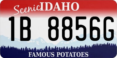 ID license plate 1B8856G
