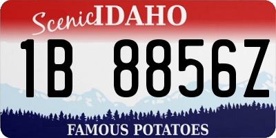 ID license plate 1B8856Z