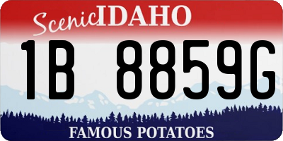 ID license plate 1B8859G