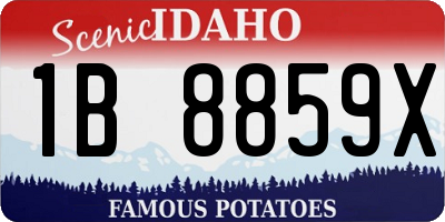 ID license plate 1B8859X