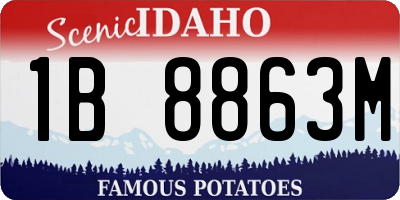 ID license plate 1B8863M