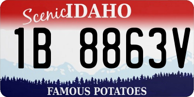 ID license plate 1B8863V