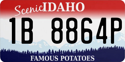 ID license plate 1B8864P