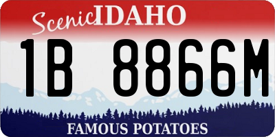 ID license plate 1B8866M
