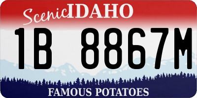ID license plate 1B8867M
