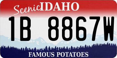 ID license plate 1B8867W