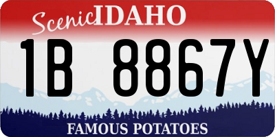 ID license plate 1B8867Y