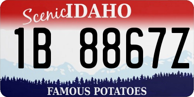 ID license plate 1B8867Z