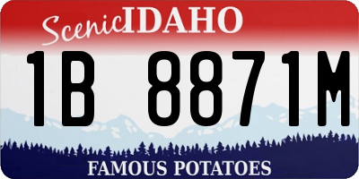 ID license plate 1B8871M