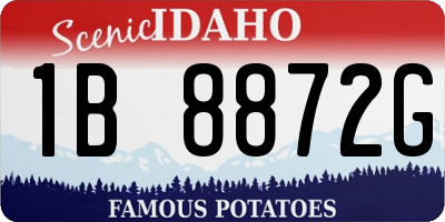 ID license plate 1B8872G