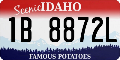 ID license plate 1B8872L