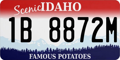 ID license plate 1B8872M