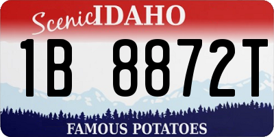 ID license plate 1B8872T