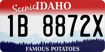 ID license plate 1B8872X