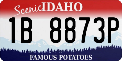 ID license plate 1B8873P