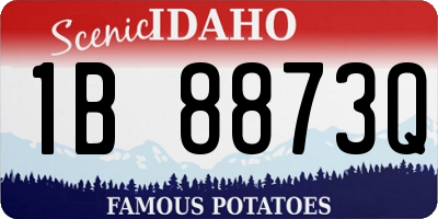 ID license plate 1B8873Q