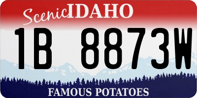 ID license plate 1B8873W