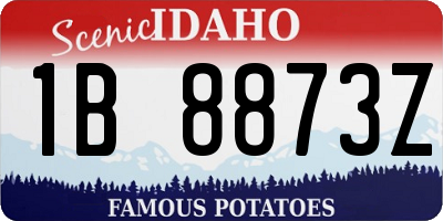 ID license plate 1B8873Z