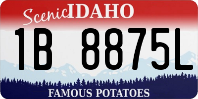 ID license plate 1B8875L