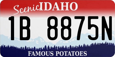 ID license plate 1B8875N