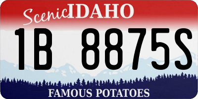 ID license plate 1B8875S