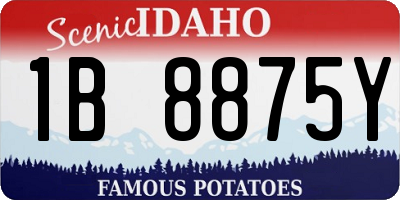 ID license plate 1B8875Y
