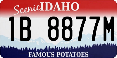 ID license plate 1B8877M