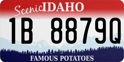 ID license plate 1B8879Q