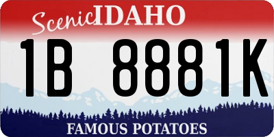 ID license plate 1B8881K