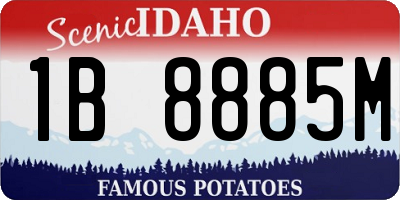 ID license plate 1B8885M