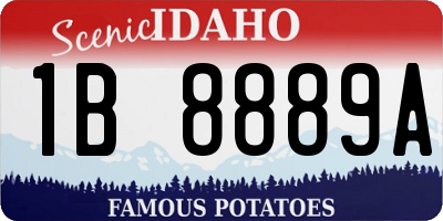 ID license plate 1B8889A