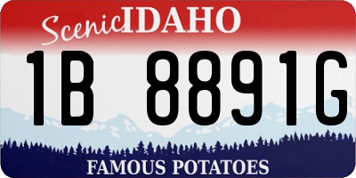 ID license plate 1B8891G