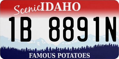 ID license plate 1B8891N