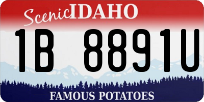 ID license plate 1B8891U