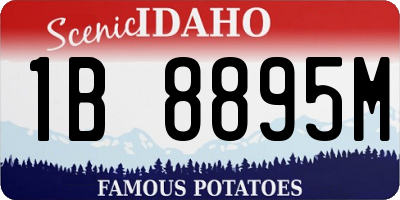 ID license plate 1B8895M