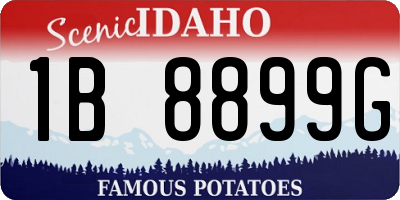 ID license plate 1B8899G