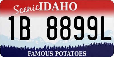 ID license plate 1B8899L
