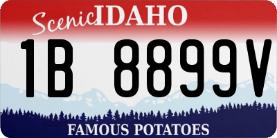 ID license plate 1B8899V