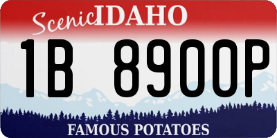 ID license plate 1B8900P