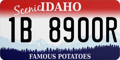 ID license plate 1B8900R