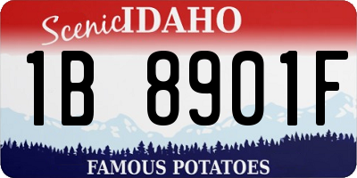 ID license plate 1B8901F