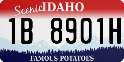 ID license plate 1B8901H