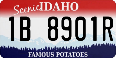 ID license plate 1B8901R
