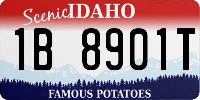 ID license plate 1B8901T