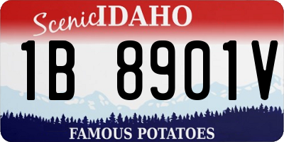 ID license plate 1B8901V