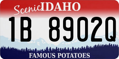 ID license plate 1B8902Q