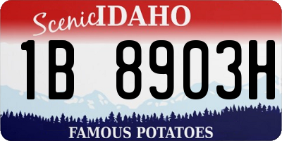 ID license plate 1B8903H
