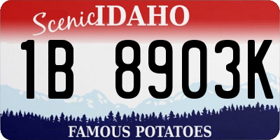 ID license plate 1B8903K